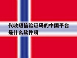 代收短信验证码的中国平台是什么软件呀的简单介绍