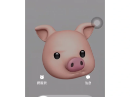 苹果手机怎么阻止网络电话打进来