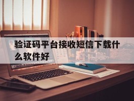 验证码平台接收短信下载什么软件好