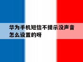 关于华为手机短信不提示没声音怎么设置的呀的信息