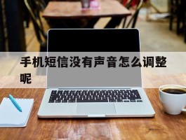 手机短信没有声音怎么调整呢
