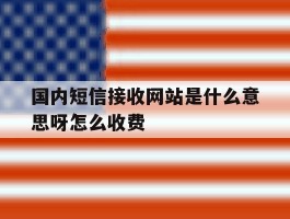 国内短信接收网站是什么意思呀怎么收费