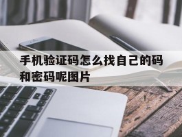 手机验证码怎么找自己的码和密码呢图片