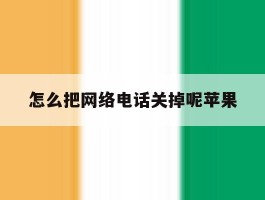 怎么把网络电话关掉呢苹果