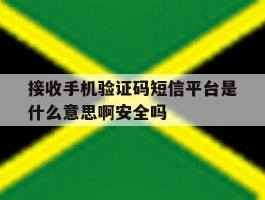 接收手机验证码短信平台是什么意思啊安全吗