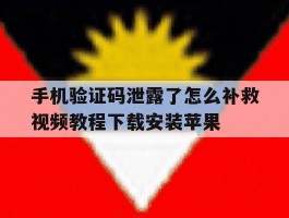 包含手机验证码泄露了怎么补救视频教程下载安装苹果的词条