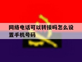 网络电话可以转接吗怎么设置手机号码