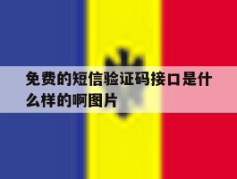 免费的短信验证码接口是什么样的啊图片