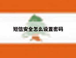 短信安全怎么设置密码