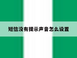 短信没有提示声音怎么设置