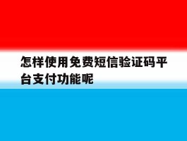 怎样使用免费短信验证码平台支付功能呢的简单介绍