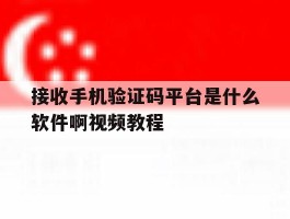 接收手机验证码平台是什么软件啊视频教程