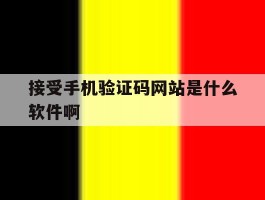 接受手机验证码网站是什么软件啊