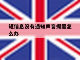 短信息没有通知声音提醒怎么办
