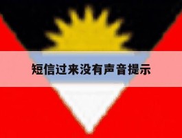 短信过来没有声音提示