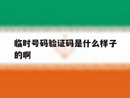 临时号码验证码是什么样子的啊