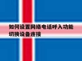 如何设置网络电话呼入功能切换设备连接