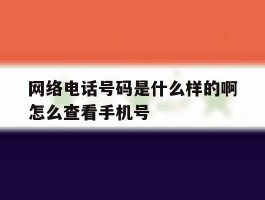 网络电话号码是什么样的啊怎么查看手机号的简单介绍