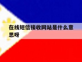 在线短信接收网站是什么意思呀