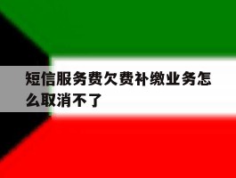 短信服务费欠费补缴业务怎么取消不了