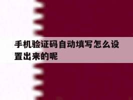 手机验证码自动填写怎么设置出来的呢
