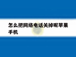 怎么把网络电话关掉呢苹果手机