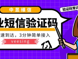 免费接短信验证码网页怎么设置密码保护功能呢的简单介绍