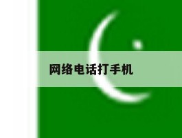 网络电话打手机
