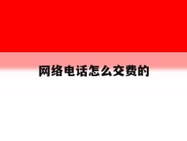 网络电话怎么交费的