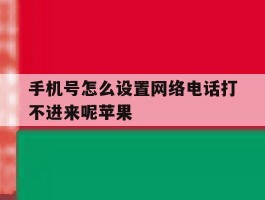 手机号怎么设置网络电话打不进来呢苹果