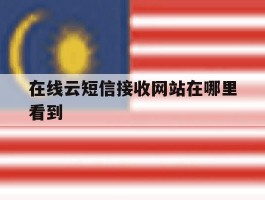 在线云短信接收网站在哪里看到