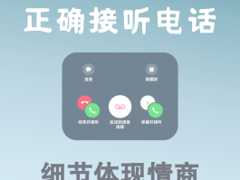 网络电话用哪个软件看