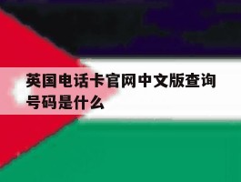 英国电话卡官网中文版查询号码是什么