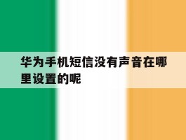 华为手机短信没有声音在哪里设置的呢