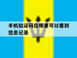 手机验证码在哪里可以看到信息记录