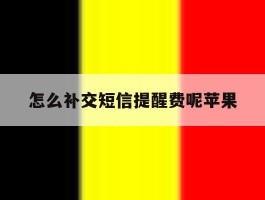 怎么补交短信提醒费呢苹果