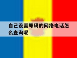包含自己设置号码的网络电话怎么查询呢的词条