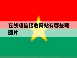 在线短信接收网站有哪些呢图片
