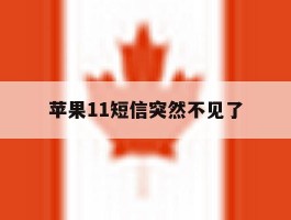 苹果11短信突然不见了