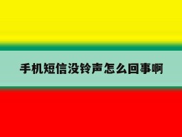 手机短信没铃声怎么回事啊