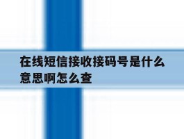 在线短信接收接码号是什么意思啊怎么查