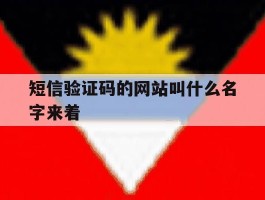 短信验证码的网站叫什么名字来着