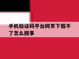 手机验证码平台网页下载不了怎么回事