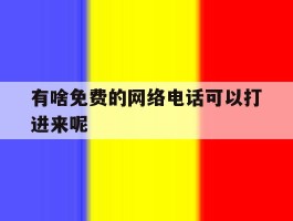 有啥免费的网络电话可以打进来呢