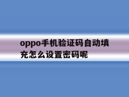 oppo手机验证码自动填充怎么设置密码呢