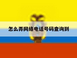 怎么弄网络电话号码查询到
