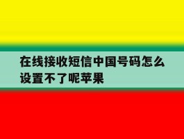 在线接收短信中国号码怎么设置不了呢苹果