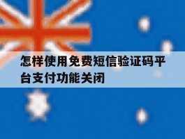 怎样使用免费短信验证码平台支付功能关闭