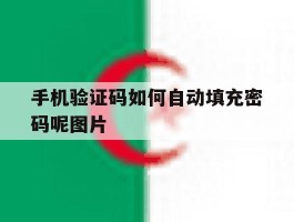 手机验证码如何自动填充密码呢图片