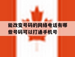 能改变号码的网络电话有哪些号码可以打通手机号的简单介绍